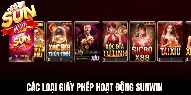 Các loại giấy phép hoạt động Sunwin hiện được công nhận